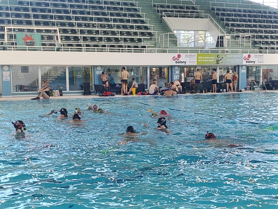 Hokej pod wodą Walenie Czeskie Budziejowice Bud Pig Cup 2026